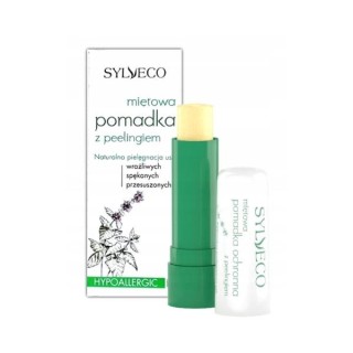 Sylveco Protective Lipstick with Mint peeling