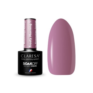 Лак для нігтів Claresa Frosty Morning Hybrid /9/ 5 г